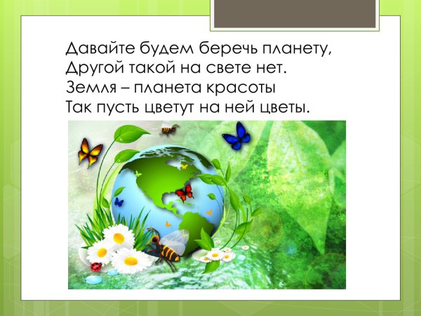 Давайте беречь землю