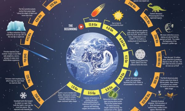 Инфографика жизнь на земле