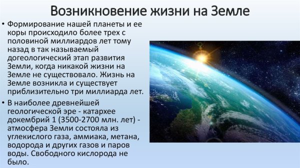 Возникновени ЕЖИЗНИ на земне