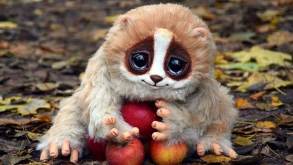 Очень милые животные