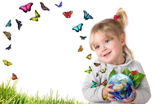 Бабочка на земле