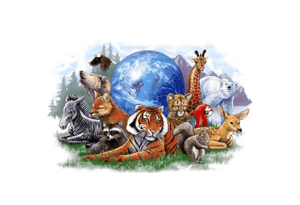 Животные земли