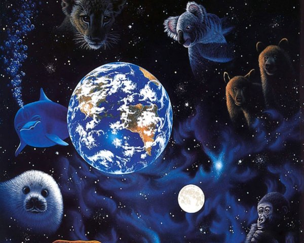 Планета животных