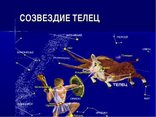 Звезда альхека Созвездие тельца