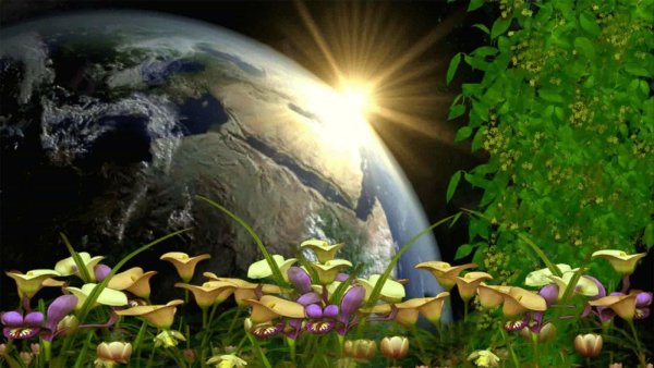 Живая Планета