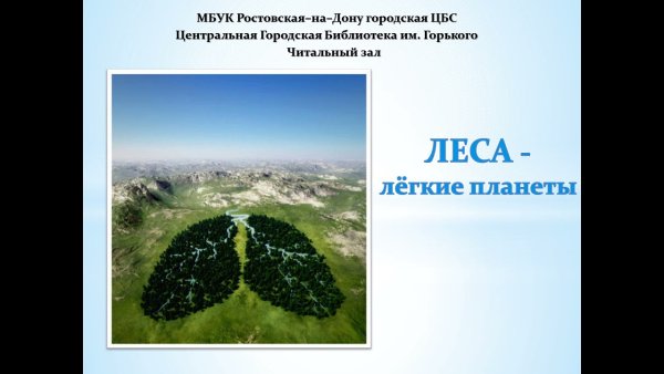 Океан легкие планеты