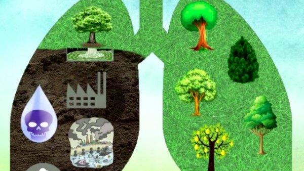 Легкие планеты