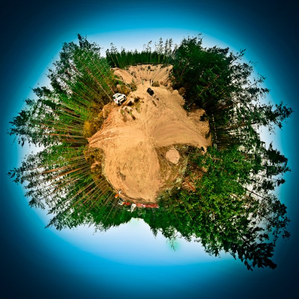 Леса на планете земля