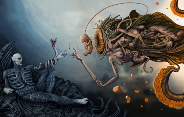 Рлим Шайкорт