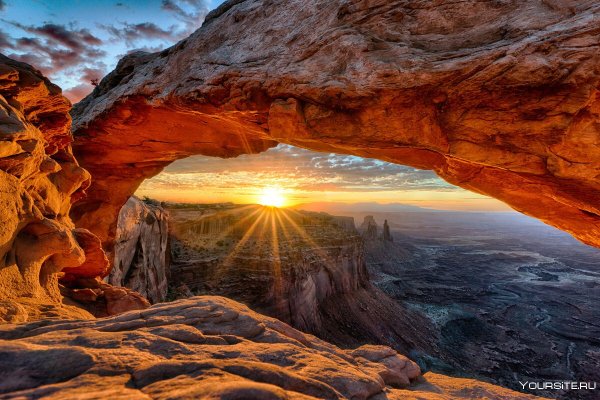 Удивительная природа