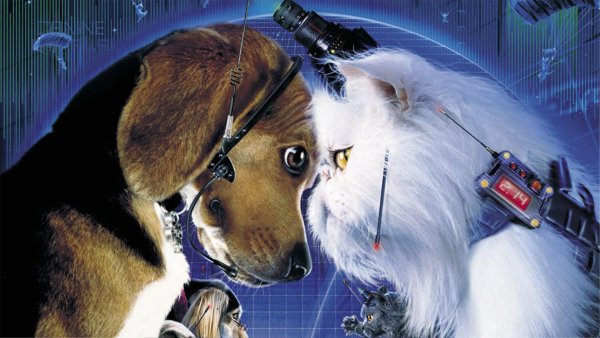 Кошки против собак: месть Китти Галор мультфильм 2010