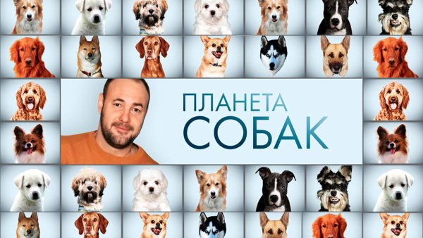 Планета собак
