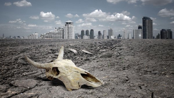 Массовое Пермское вымирание