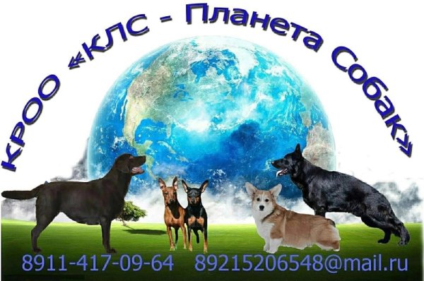 РКФ онлайн