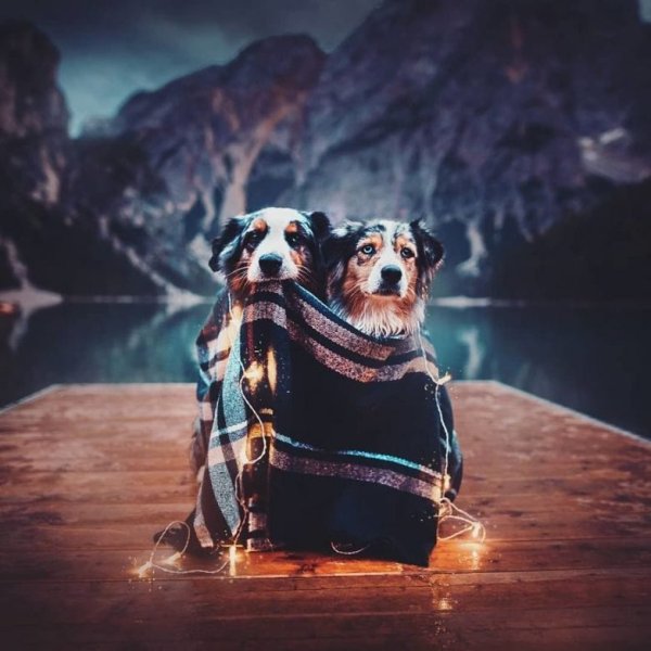 Кристина Квапилова фотограф