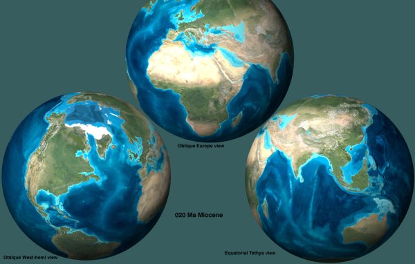 Миоцен карта земли