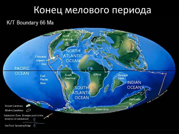 Неоген расположение материков
