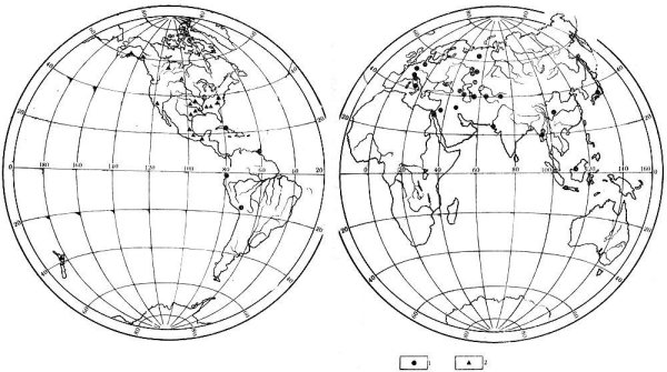 Контурная карта полушарий для печати а4