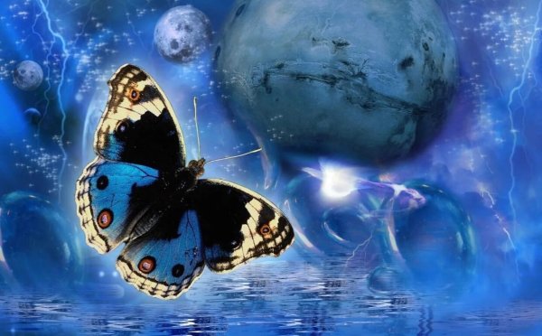 Фэнтези Планета бабочек