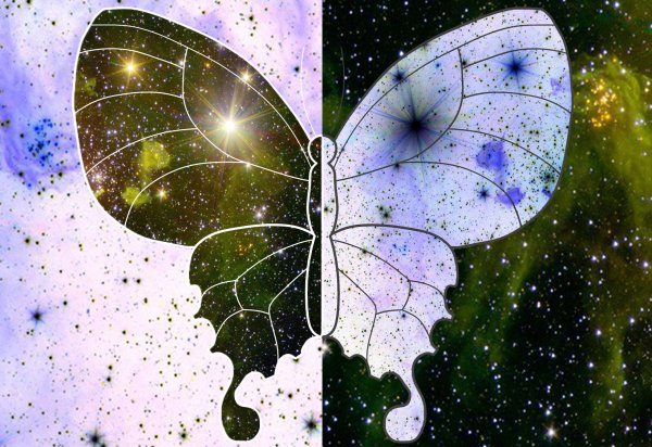 Эффект бабочки Брэдбери