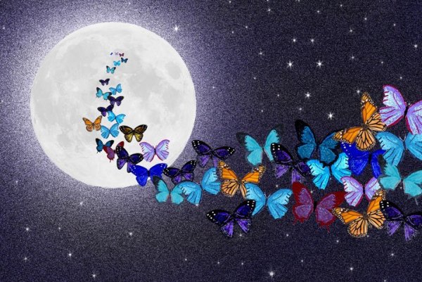 Доброй ночи с бабочками красивые