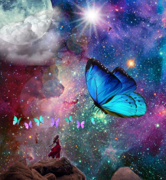 Волшебные бабочки