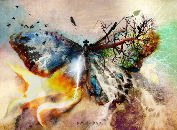 Эффект бабочки арт