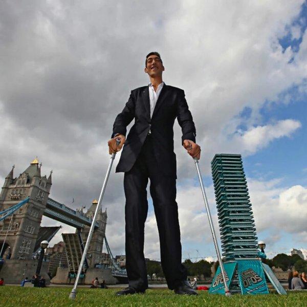 Султан Косен 247