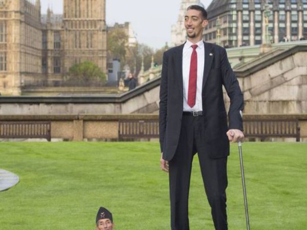 Высокий человек