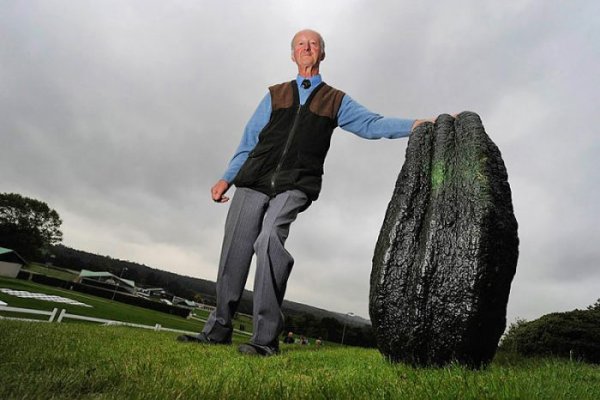 Гигантский огурец