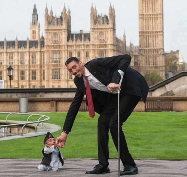 Высокий карлик