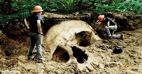 Великаны люди скелеты исполины