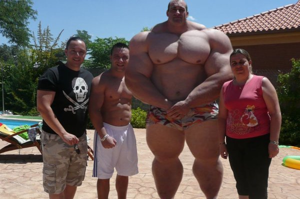 Качки гиганты