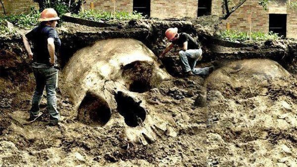 Смитсоновский институт кости великанов