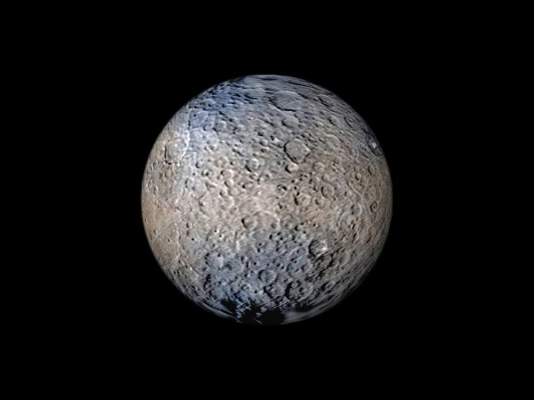 Цинера карликовая Планета