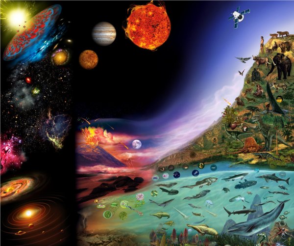 Возникновение жизни