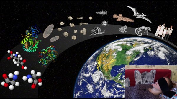 Зарождение жизни на земле