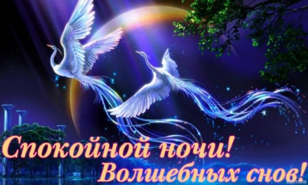 Пожелание спокойной ночи и волшебных снов