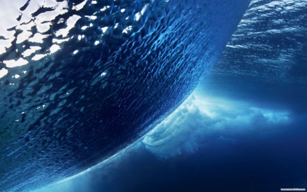 Планета океан