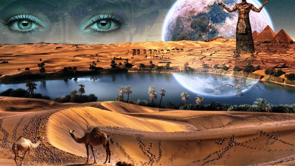 Пустыня Караван Оазис