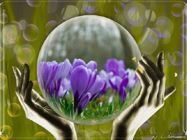 Весна доброта