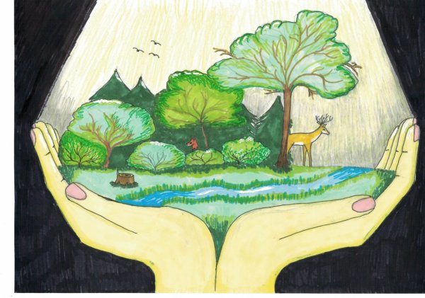 Рисунок на тему экология карандашом