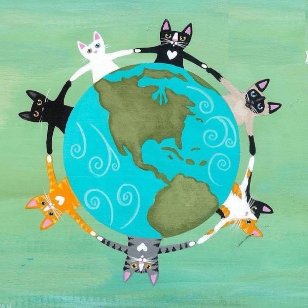 Котики за мир