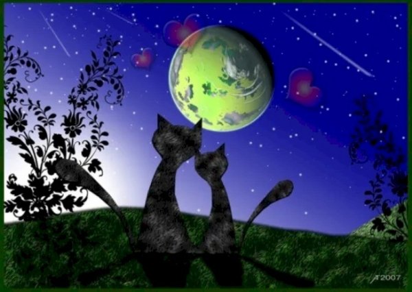 Земля кошка