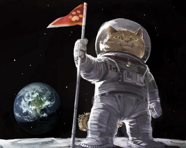 Енот в скафандре