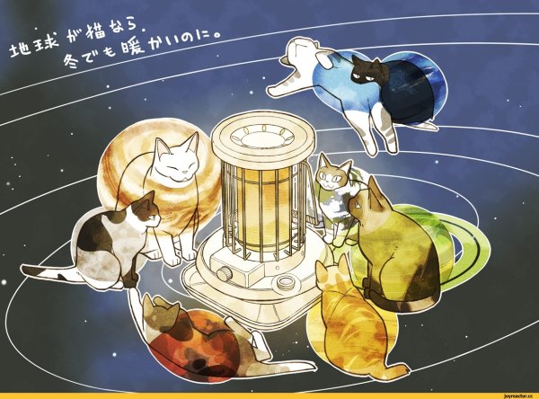 Кошачья Планета