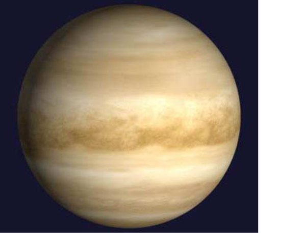 Планта Венера