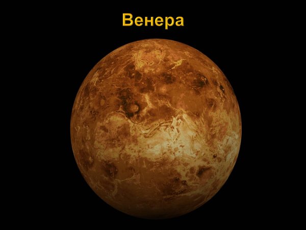 Планета Венера 1979