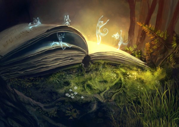 Книга Волшебный мир