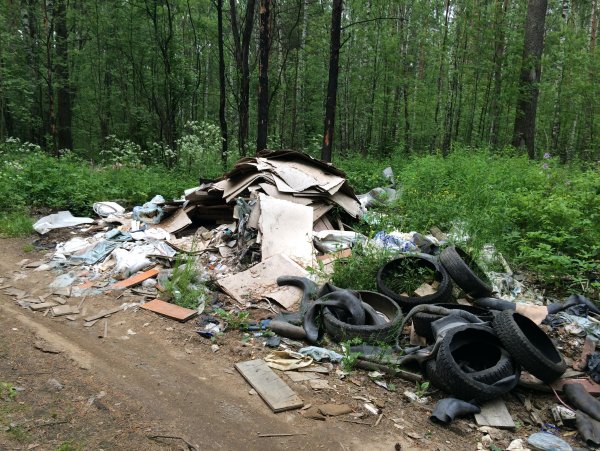 Мусор в лесу